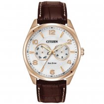 Citizen Eco-Drive Silver Tone Men